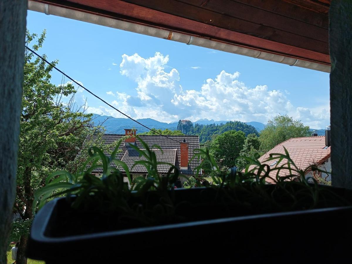 Hostel Pr Mocnk Bled Zewnętrze zdjęcie